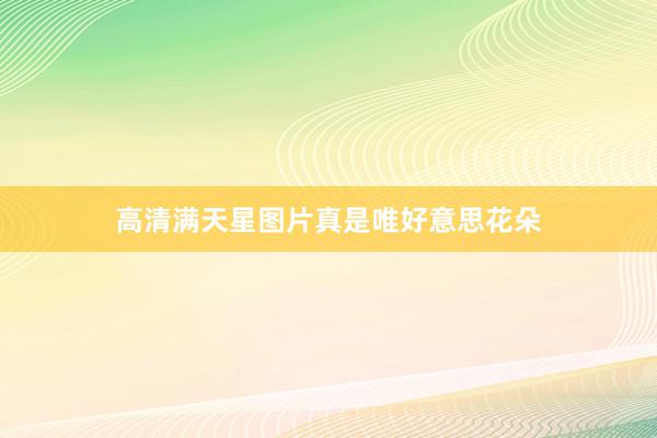 高清满天星图片真是唯好意思花朵