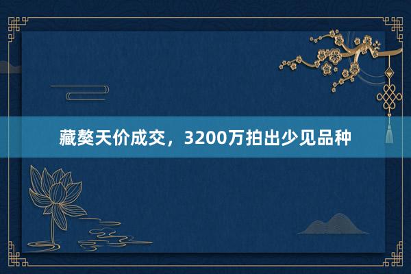 藏獒天价成交，3200万拍出少见品种